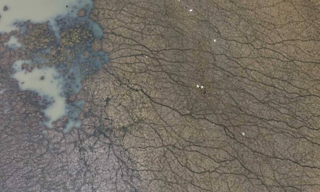 Beyşehir Gölü’nün Selası Okunuyor 2